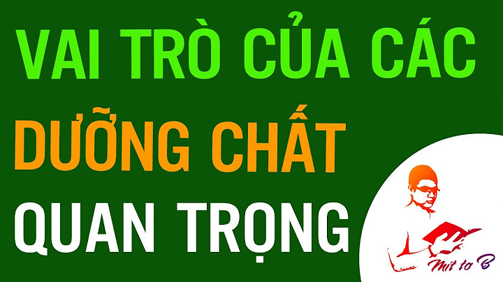 Các chất dinh dưỡng đơn giản là gì năm 2024