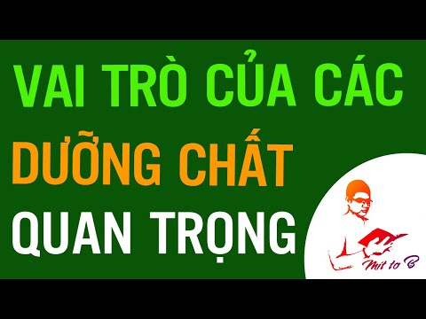 Video: Molypden Và Thực vật - Tầm quan trọng của Molypden Đối với Sự phát triển của Thực vật