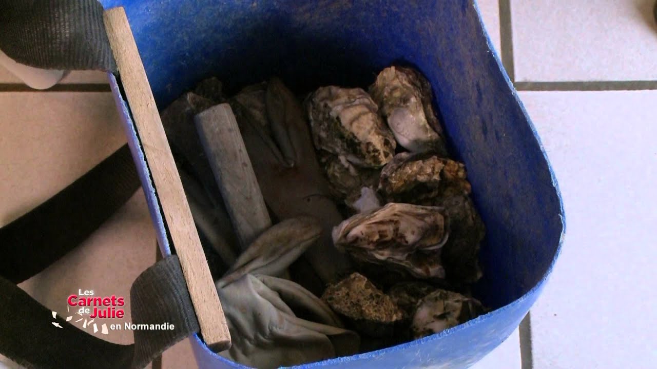 Le Cotentin en Basse-Normandie - Les Carnets de Julie