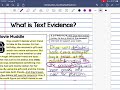 Understanding the RACE Strategy for Written Responses