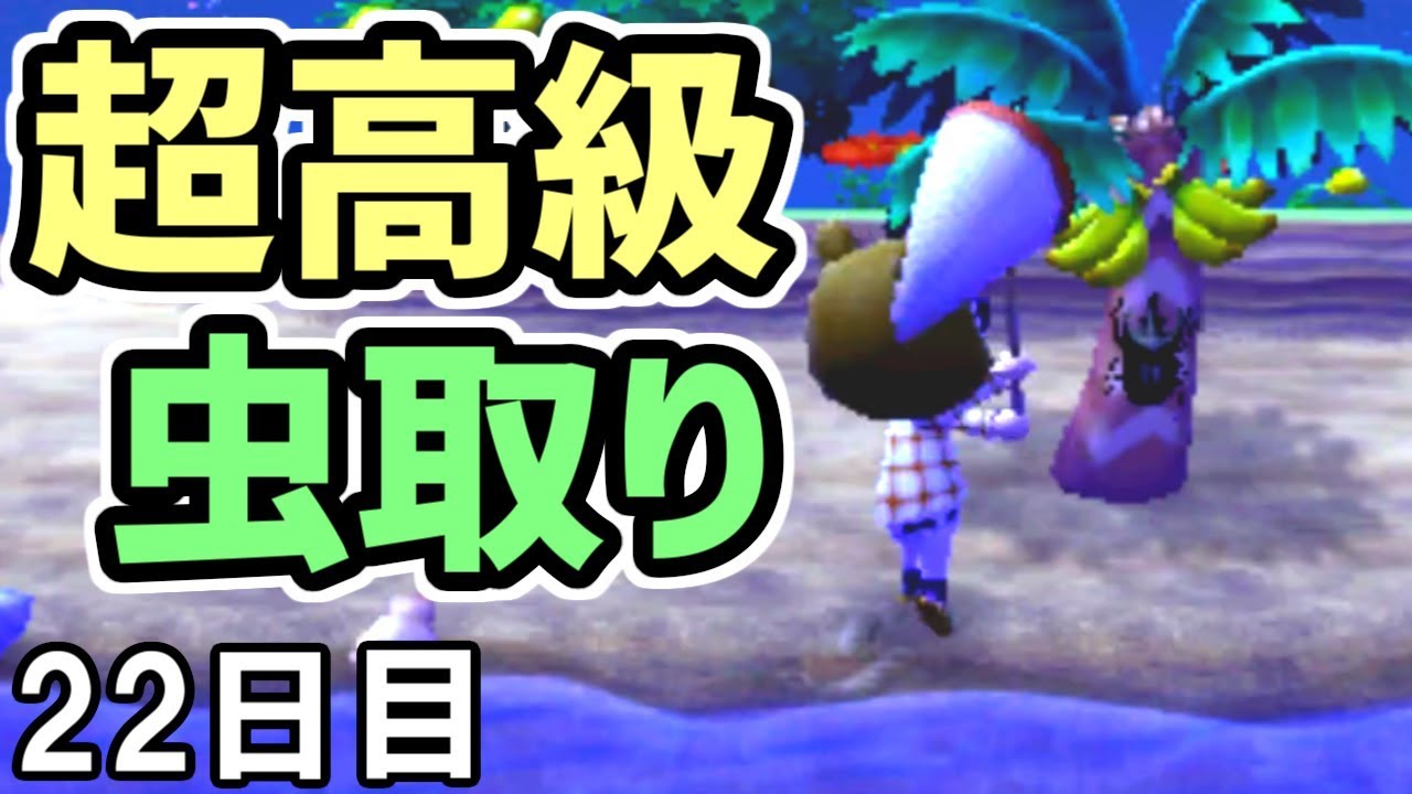 とび森 22 夜の南の島で超高級な虫取り放題でガッポガッポ とびだせどうぶつの森 実況 Youtube