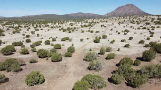 Mile High Road in Ash Fork, Arizona