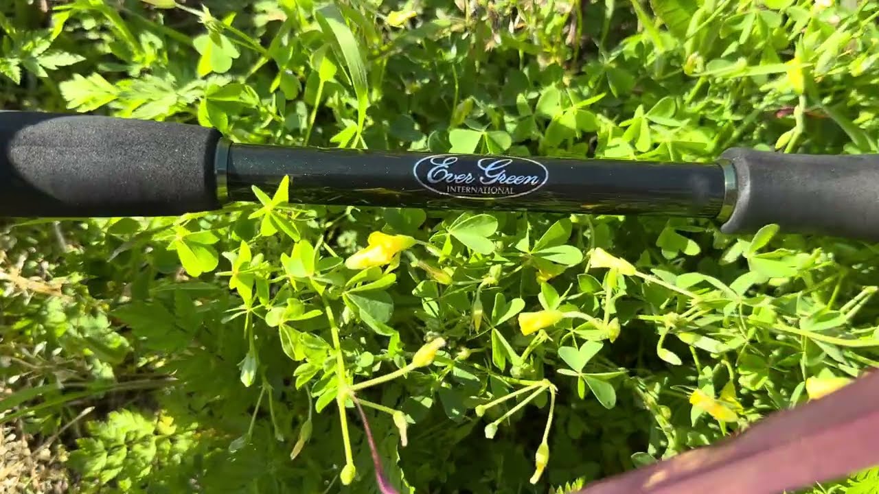 Evergreen Combat Stick Review (Graphite 7'3” Jig & Worm Rod) - YouTube