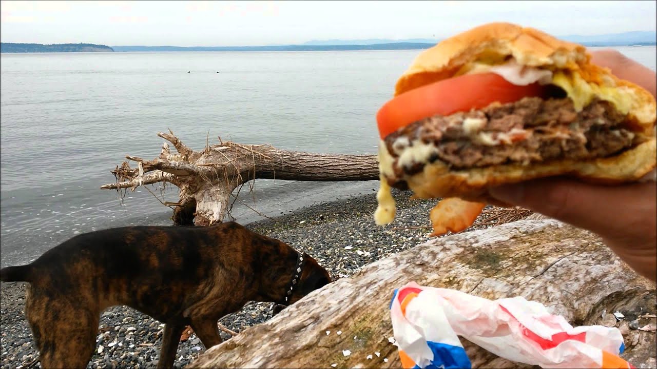 Dairy Queen FlameThrower GrillBurger Review YouTube