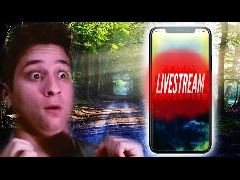 როგორ გავაკეთოთ ლაივი ტელეფონით