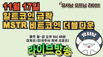 11월 17일 미저리 브리핑 - 알트코인 급락 / MSTR 코인 더블 다운!