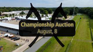 Verden Championship Auction OnLive – Dressage Horses & Foals - August, 8th