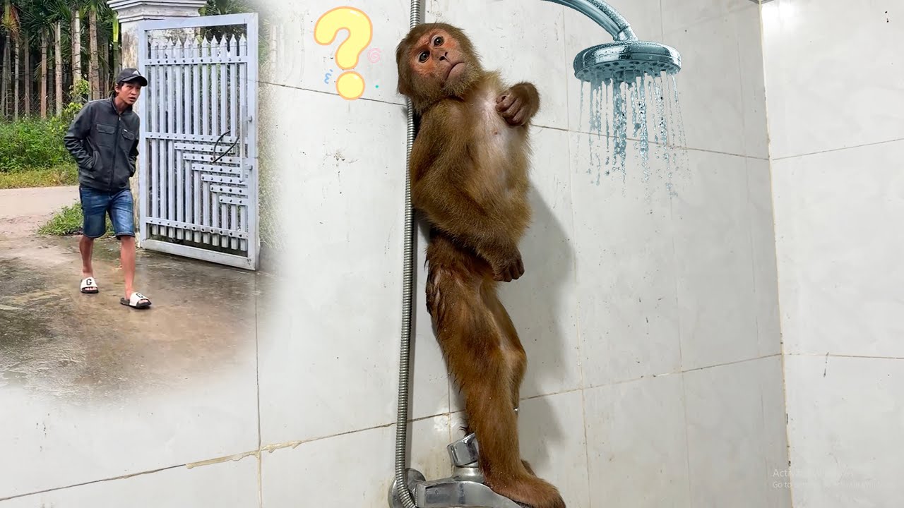 Caught in the Act! CUTIS’ Hilarious Reaction When Dad Finds Out