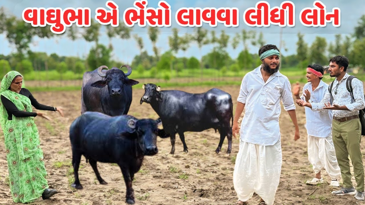 વાઘુભા એ ભેંસો લાવવા લીધી લોન // કોમેડી વિડિયો // Gujarati Comedy Video // Funny Desi Boys