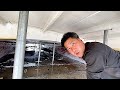【沈没船の謎】なぜこんな所にまで水が…