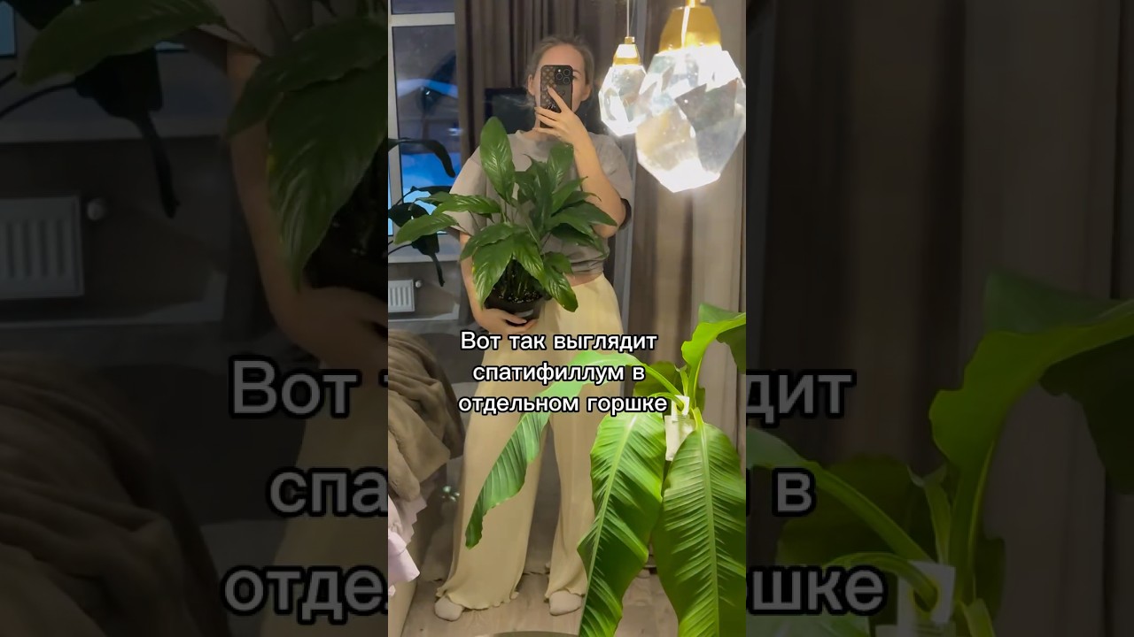 Какие ещё доказательства нужны? 