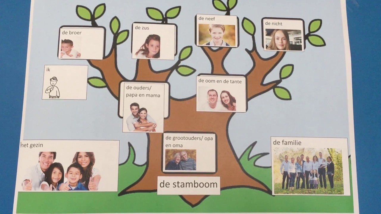 Plateau oortelefoon Ontmoedigd zijn Thema: familie onderwerp: de stamboom - YouTube