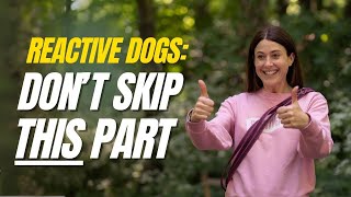 This Surprising Strategy Is Helping Reactive Dogs Improve Faster