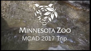 Minneapolis Zoo 2017 [EDDIEventures!]