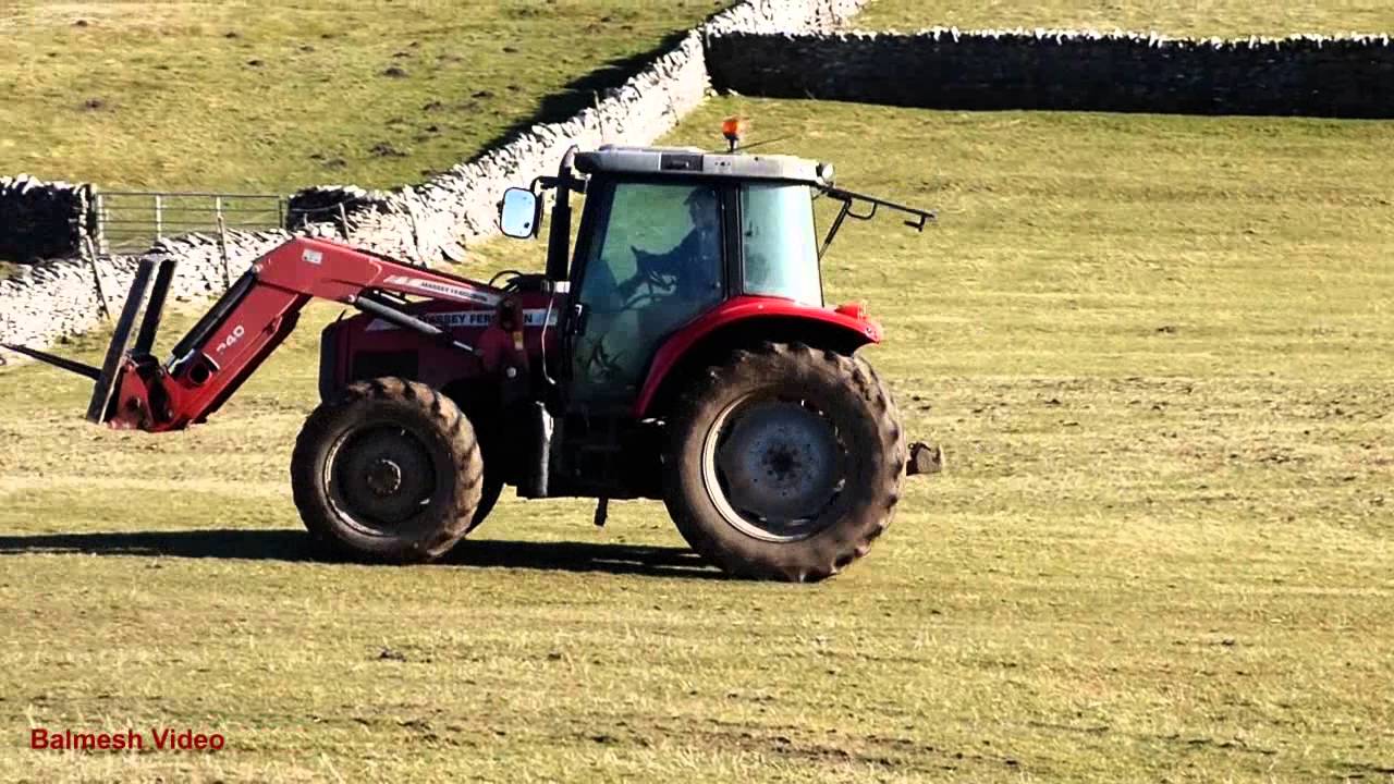 Feeding The Sheep Massey Moves The Silage Youtube