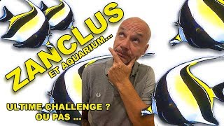 ZANCLUS et AQUARIUM ULTIME CHALLENGE