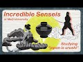 Studying Japan Is Urushi By HONDA Takayuki Incredible Senseis At Meiji University Studying Japan Is Urushi By HONDA Takayuki Incredible Senseis At Meiji University