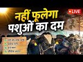 Kisan Tak Live: गर्मियों में क्यों कम हो जाता है पशुओं का दूध? जानिए एक्सपर्ट की खास राय