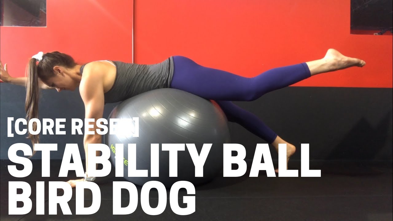 Why You Need To Add The Bird Dog Exercise To Your Workouts - Vital