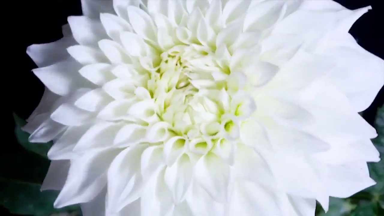 Расслабляющее Видео : Наша Планета // Relax Video : Our Planet.