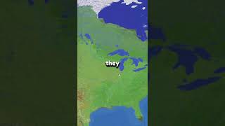 Heres how to join on BEDROCK & JAVA!  #minecraft #dreamsmp #mcyt #minecraftserver #smp