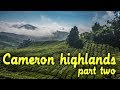 Things to see in CAMERON HIGHLANDS - part 2