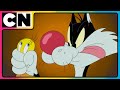 🔴 [LIVE] Looney Tunes Cartoons | Best of Tweety & Sylvester | Cartoon Network