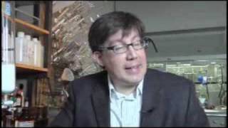 Chemist Recreates Drugs Found in Trees, and Improves Upon Them