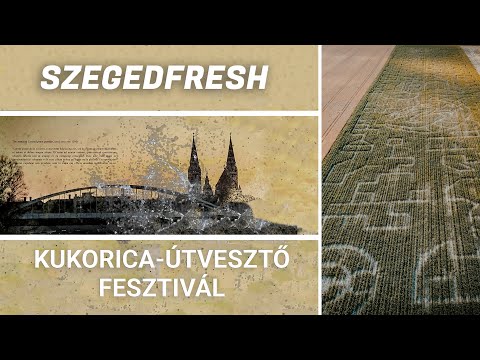 Fantasztikus labirintus Szeged mellett | egyetem tv | SzegedFresh