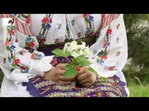 Ruxandra Pitulice - Mama mea,,maicuta mea