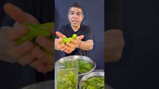 Mint Chutney Chef Subhash style Recipe