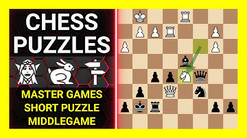 Chess Puzzles to Practice. Themes: Master games, Short puzzle, Middlegame. Learn Chess