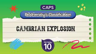 [Grade 10] Life Sciences: Cambrian Explosion!
