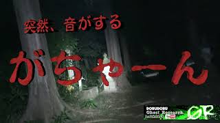 【心霊Live】埼玉県最恐心霊スポット まじでやばい桜木神社