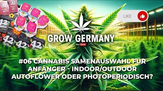 #06 Cannabis Samenauswahl für Anfänger. Indoor & Outdoor Anbau! Autoflower oder Photoperiodisch?