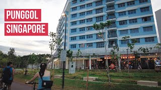 🇸🇬 Walk Around Singapore's New Waterway Residential Estate | Punggol Waterway Sunrise 2024 [4K]