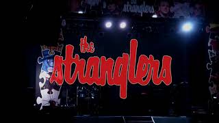 The Stranglers: Newcastle live 2010