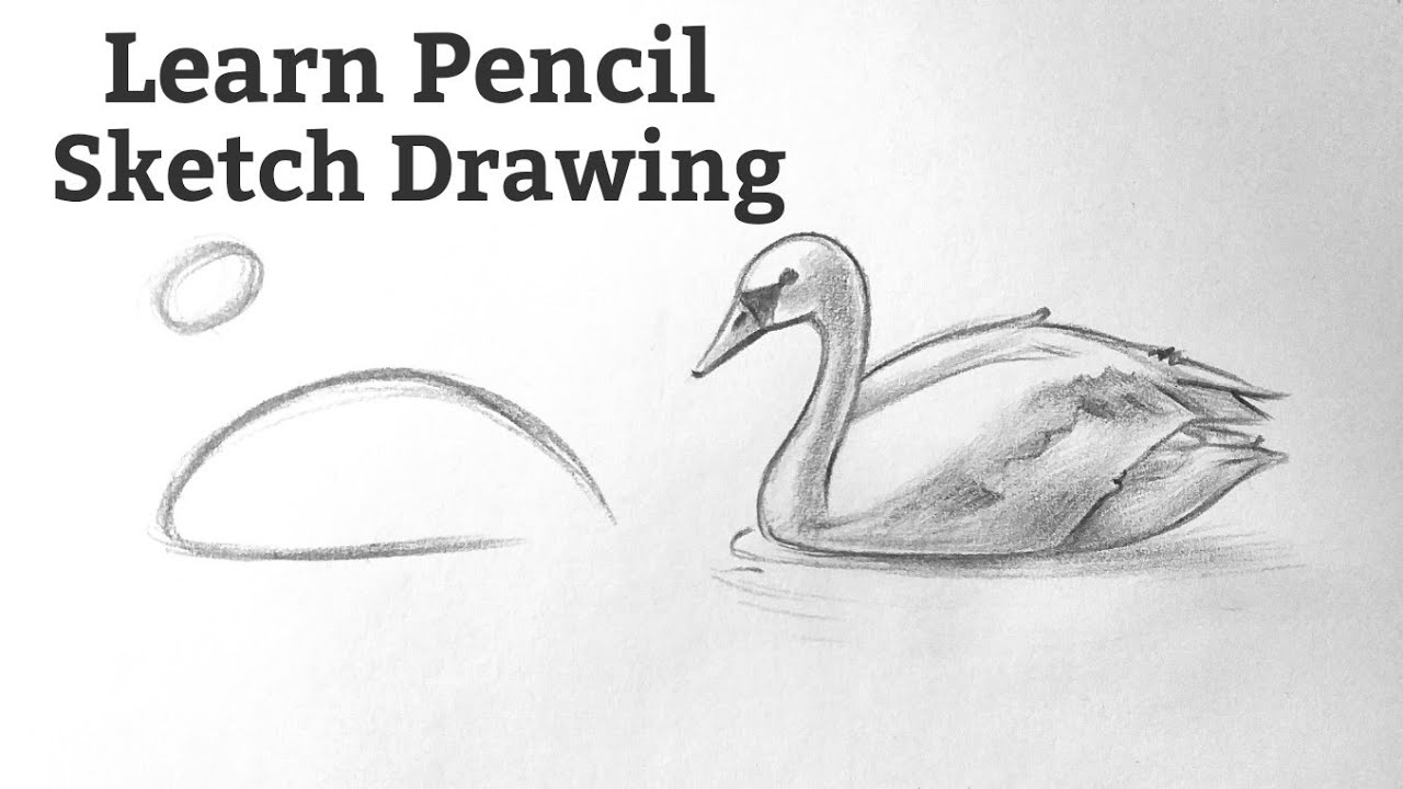 Easy Pencil sketch drawing ideas Basic drawing tutorial/drawing lessons