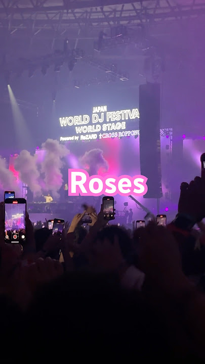 The Chainsmokers | Roses | World DJ Festival Japan 2025.6.29 @Makuhari Messe #thechainsmokers