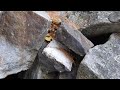 Middle of video