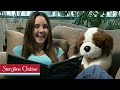 The Night I Followed the Dog read by Amanda Bynes