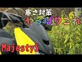 【MajestyS 慣らし終了と寒さ対策】やっぱり、ナックルバイザーだ