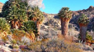 The Past By Ray Parker Jrwmv