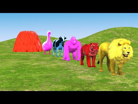 Long Slide Game With Elephant Gorilla Buffalo Hippopotamus Tiger - 3d Animal Game 