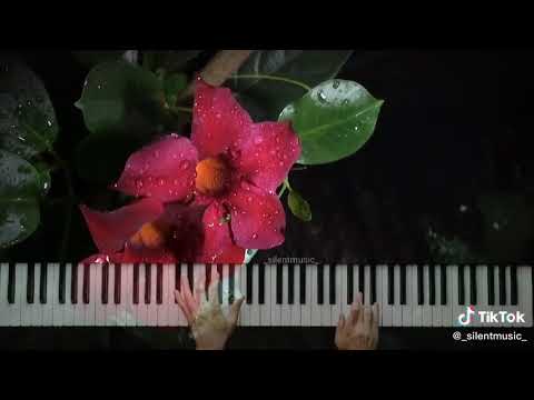 Həyatım mənim hara tələsirsən sən pianoda izləməyə dəyər