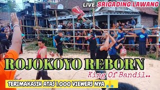 Download Lagu Teror Horor Caplokan🔥\ MP3