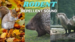 Rodent Repellent Sound