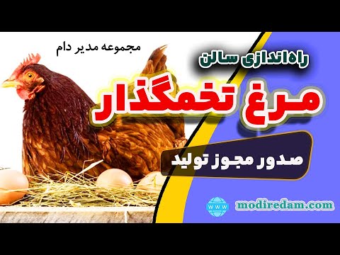 راه اندازی سالن مرغ تخمگذار بومی