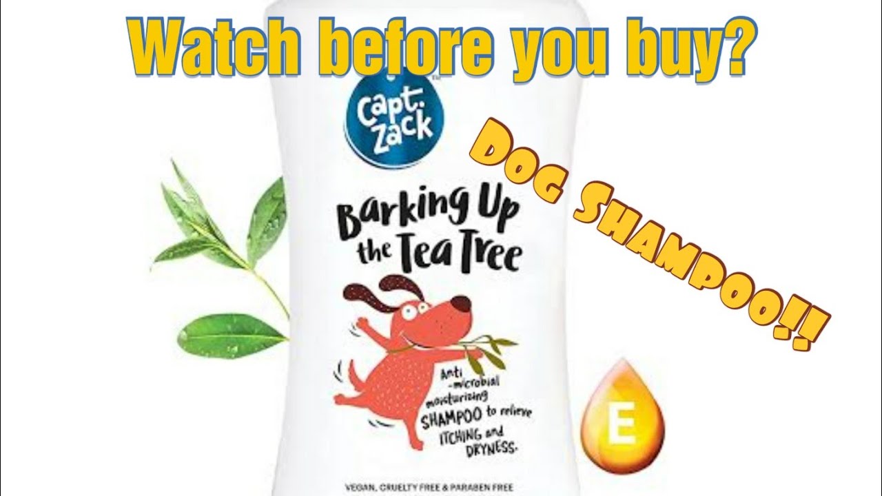 Captain Zack Dog Shampoo Honest Review ‼️ Watch before buying it ‼️