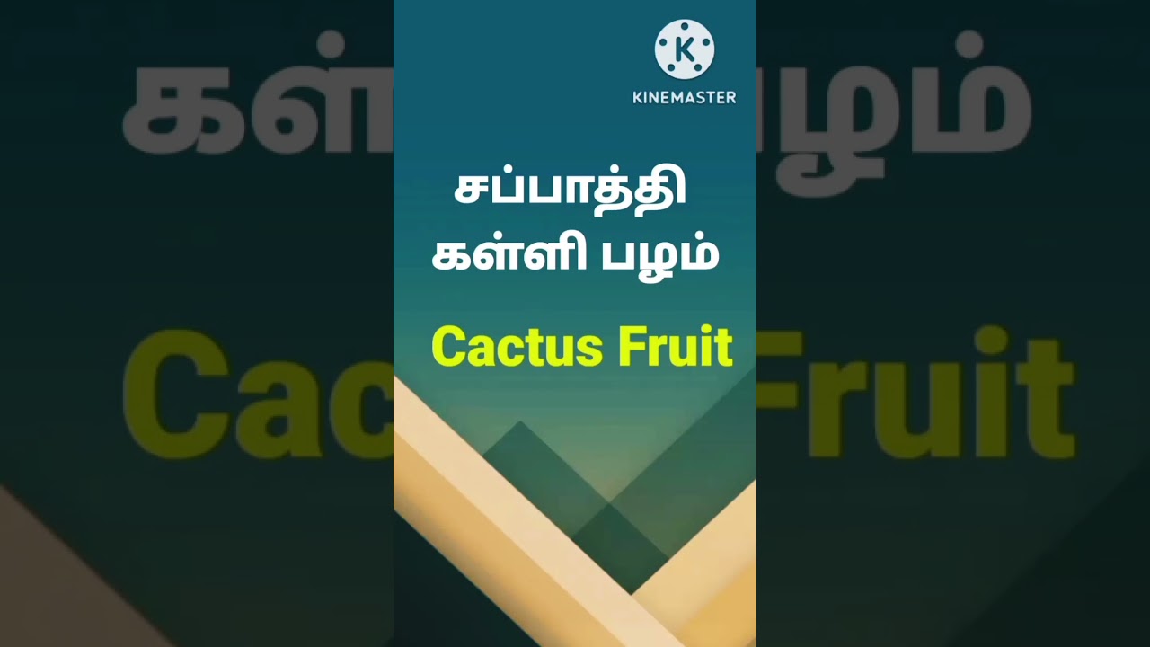 சப்பாத்தி கள்ளி பழம் in English/Spoken English through Tamil/Cactus